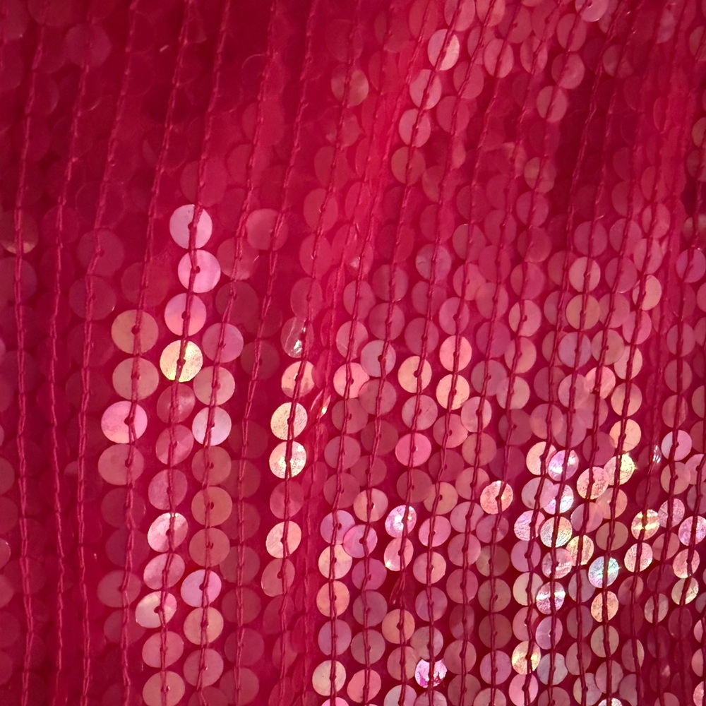 Pink 100% Silk & Sequin Fabric Top